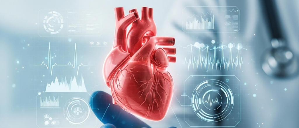 Ventajas del cierre de auriculilla izquierda frente a la anticoagulación oral